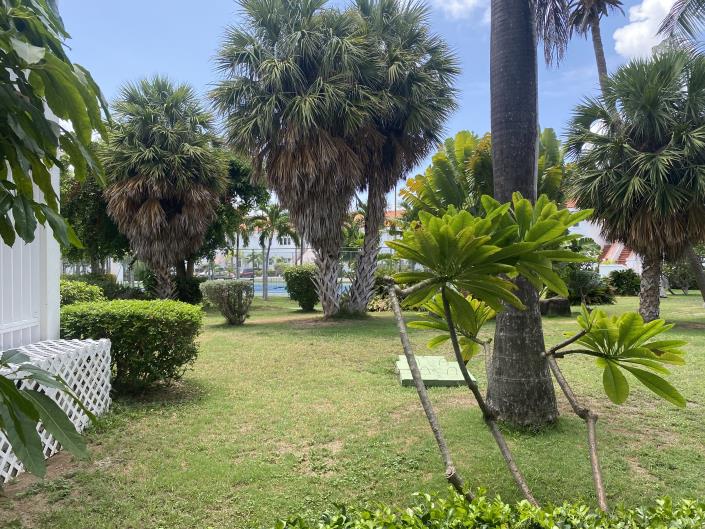 Image No.22-Condo de 2 chambres à vendre à Saint Kitts