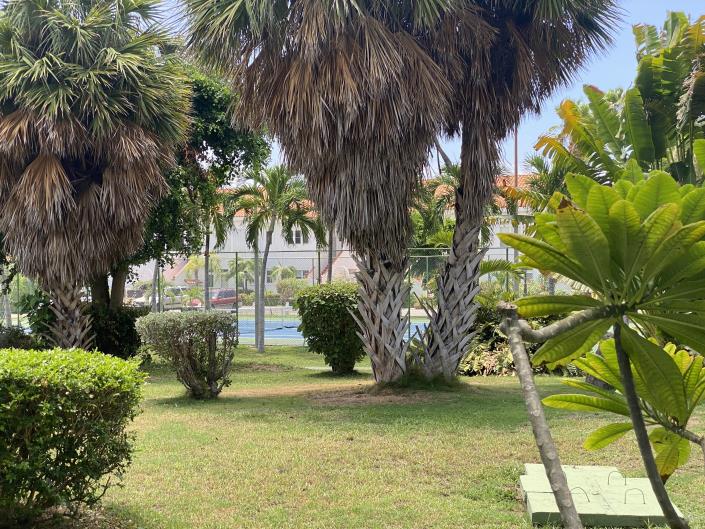 Image No.24-Condo de 2 chambres à vendre à Saint Kitts