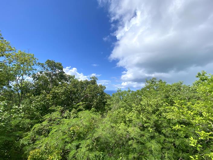 Image No.6-Land for sale