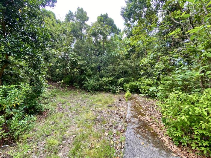 Image No.6-Land for sale