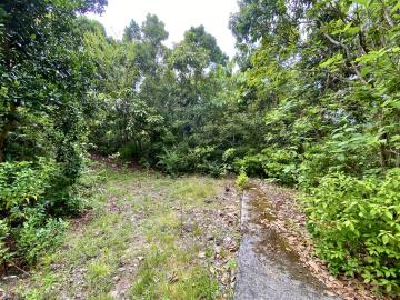 WhatsApp-Image-2024-06-21-at-11-42-35