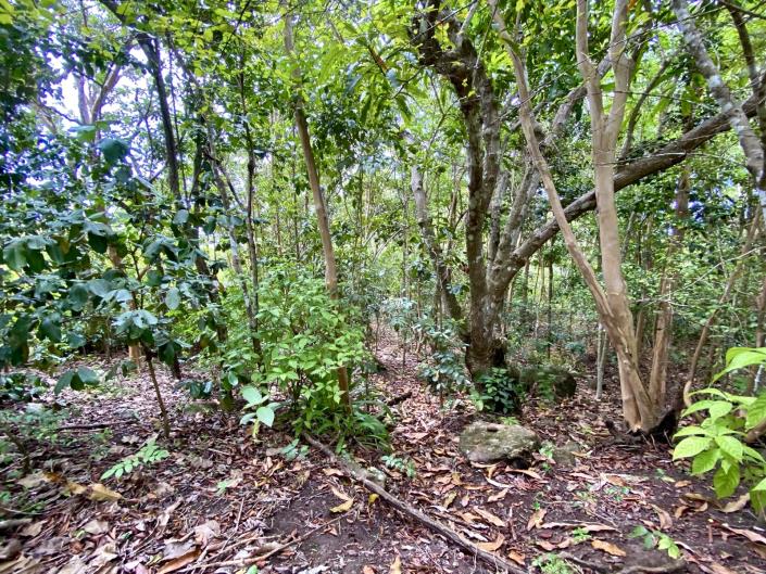 Image No.7-Land for sale