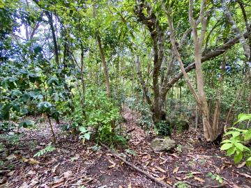 WhatsApp-Image-2024-06-21-at-11-42-35--1-