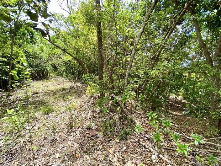 Image No.4-Land for sale