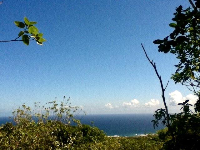 Image No.2-Land for sale