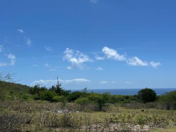 BUSCH-HILL-2-3---01-