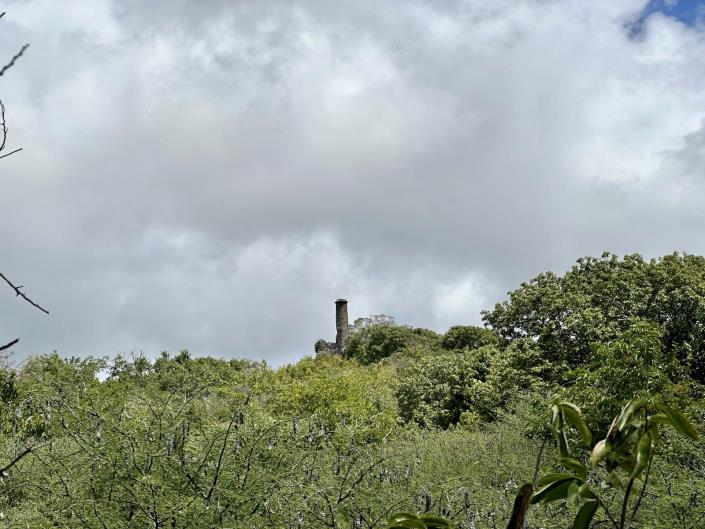 Image No.3-Terre à vendre à Nevis