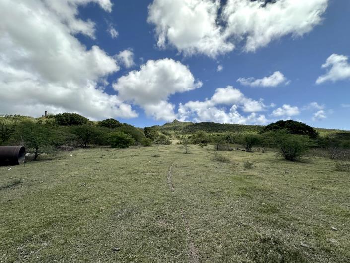 Image No.4-Terre à vendre à Nevis