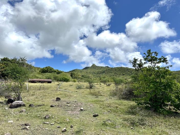 Image No.5-Terre à vendre à Nevis