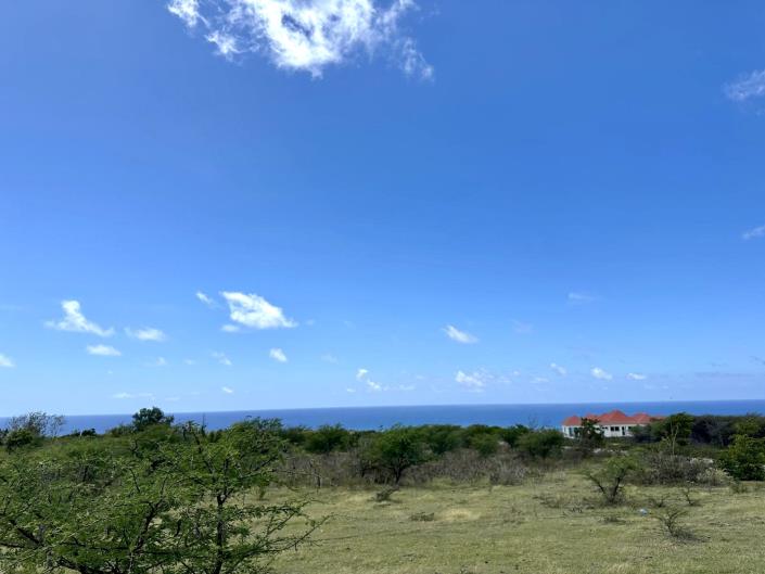 Image No.3-Terre à vendre à Nevis