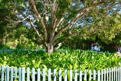 AzRT8xsWDLcAMoH-ZjqHAOmOUNIXmEcsdcRjfpm7V4tDsORE1GfmyjkYrv91E46H5MCce7pqjgtGDboibE4dU-d_J10Rycb7MsisGxVjExk3T52Mf-Sw3s7vbpntsf4-