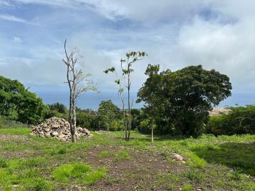 fe752e6b-242b-4ab8-a4bf-e08c60726ee8