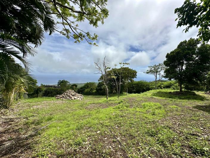 Image No.2-Terre à vendre à Nevis