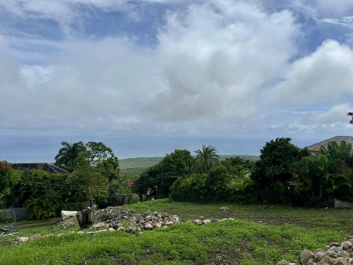 Image No.3-Terre à vendre à Nevis