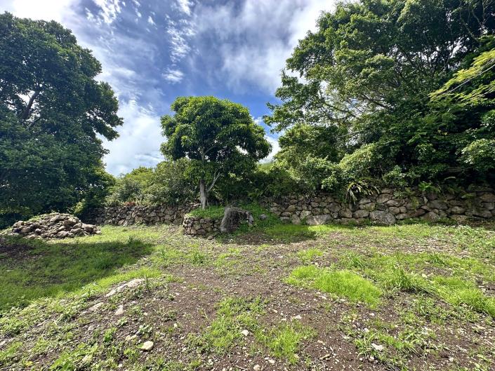 Image No.7-Terre à vendre à Nevis