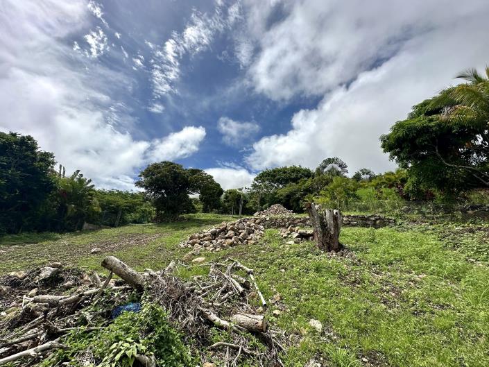 Image No.8-Terre à vendre à Nevis