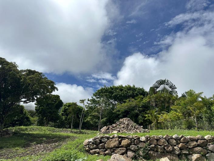 Image No.4-Terre à vendre à Nevis