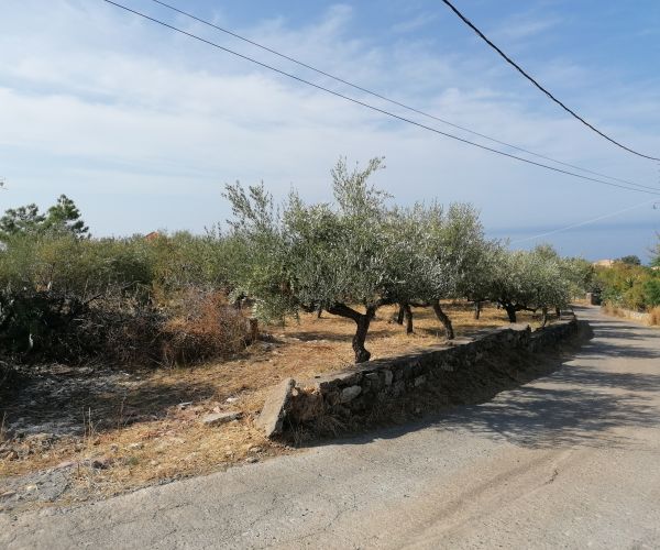 Image No.10-Plot for sale