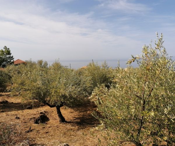 Image No.5-Plot for sale