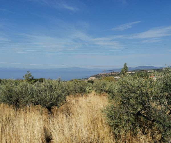 Image No.8-Plot for sale