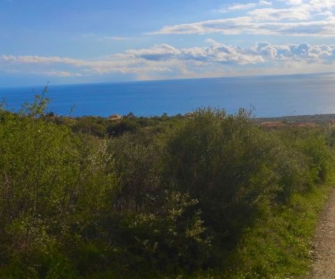 Image No.7-Terrain à vendre à Kardamyli