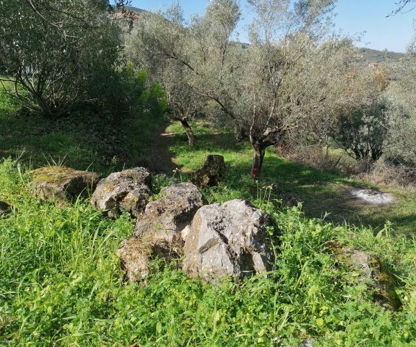 Image No.10-Terrain à vendre à Malta