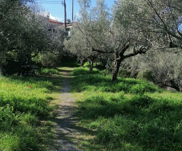 Image No.8-Terrain à vendre à Malta