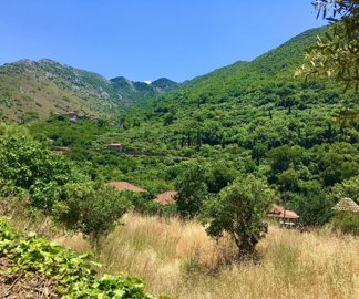 aac1371a-4c08-40fe-9775-b811fa7309431201a