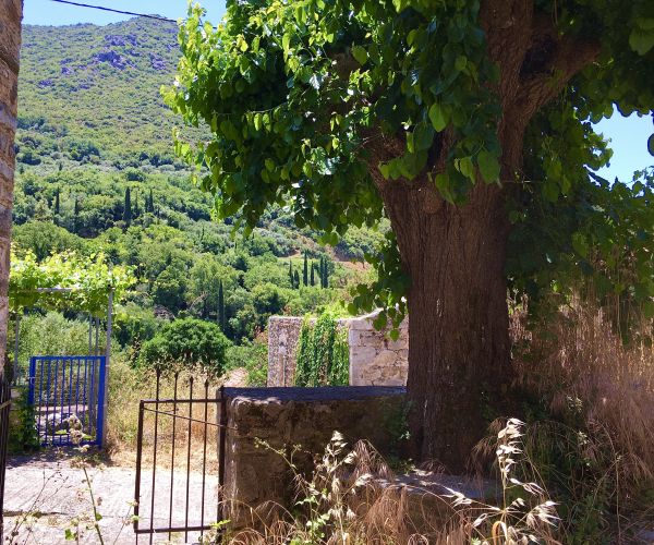 Image No.7-Maison de 2 chambres à vendre à Kardamyli