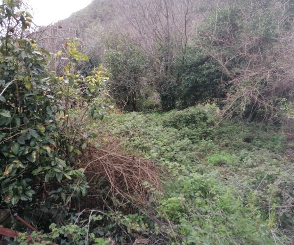 Image No.6-Maison de 3 chambres à vendre à Kardamyli