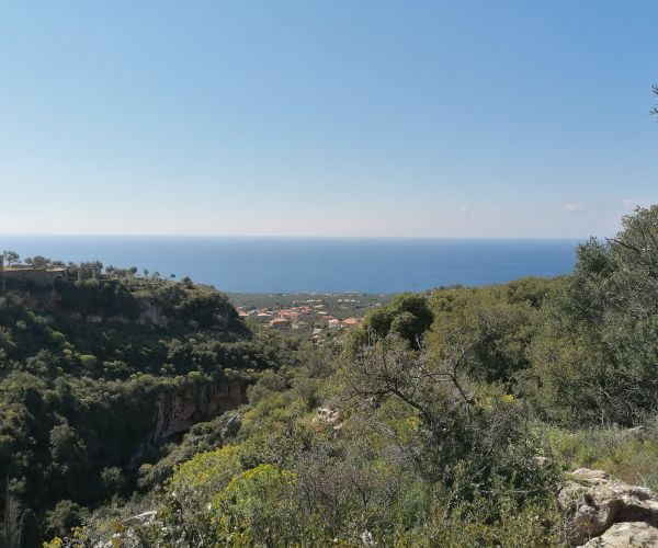 Image No.6-Maison de 2 chambres à vendre à Kardamyli