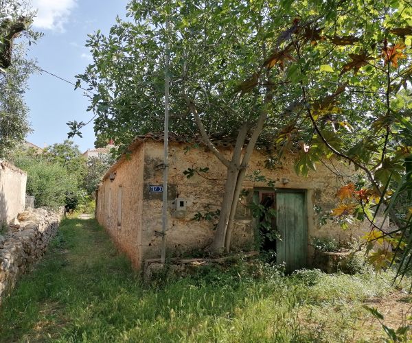 Image No.18-Maison de 3 chambres à vendre à Stoupa