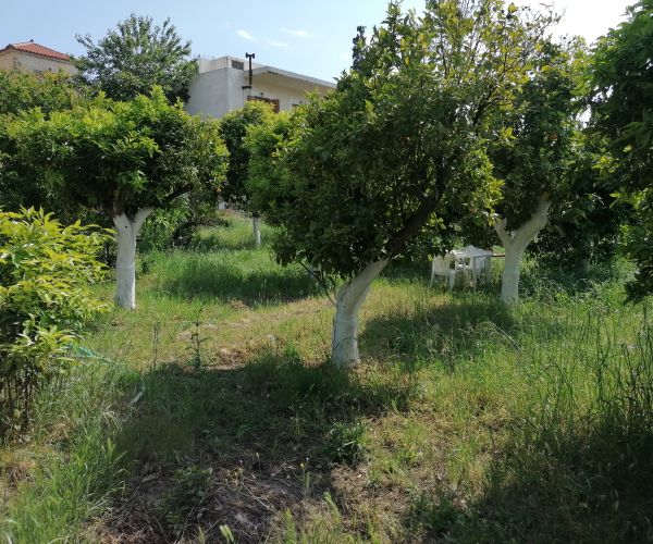 Image No.6-Maison de 3 chambres à vendre à Stoupa