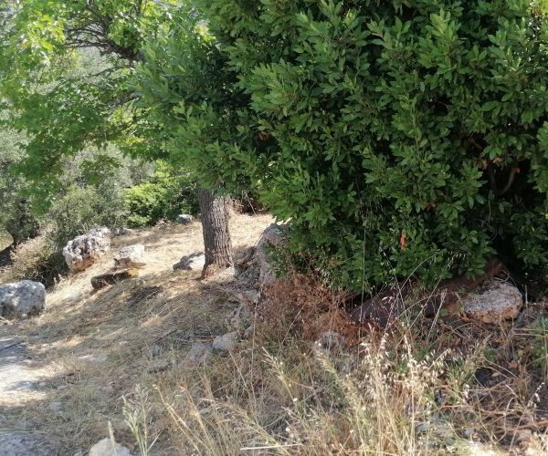 Image No.22-Maison de 3 chambres à vendre à Péloponnèse