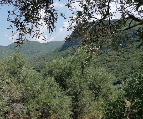 Image No.4-Maison de 3 chambres à vendre à Péloponnèse