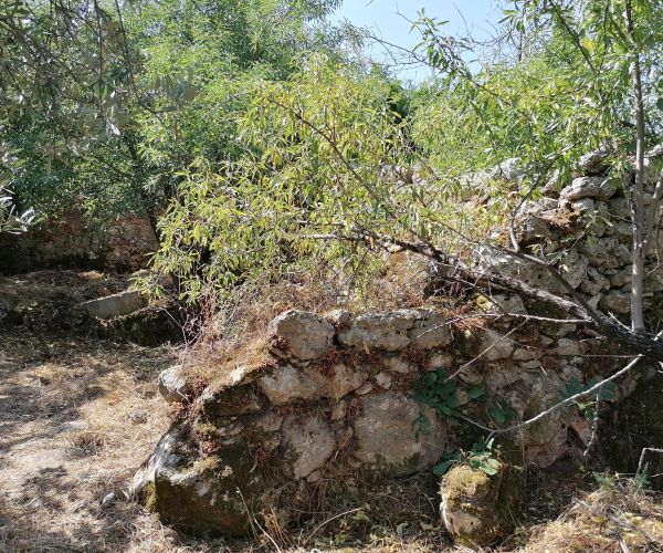 Image No.8-Maison de 3 chambres à vendre à Péloponnèse