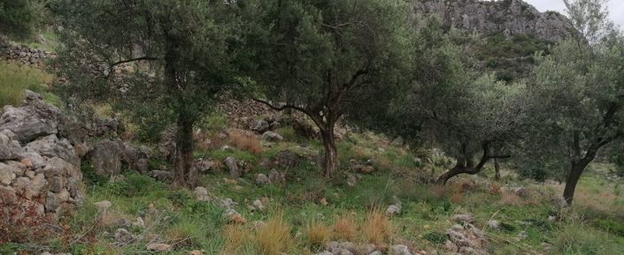 Image No.3-Plot for sale