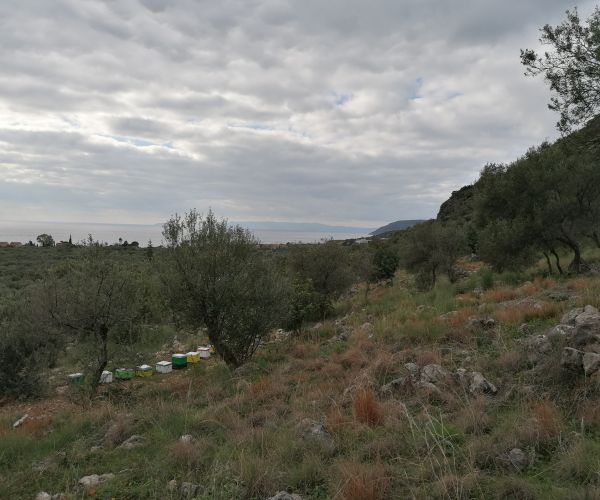 Image No.6-Plot for sale