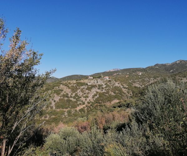 Image No.10-Maison de 3 chambres à vendre à Kardamyli