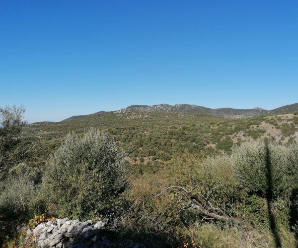 Image No.12-Maison de 3 chambres à vendre à Kardamyli