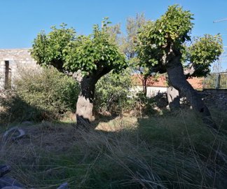 img202210310941072025-02-06-125628bgfj