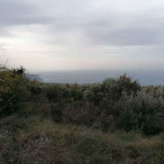 Image No.2-Terrain à vendre à Kardamyli