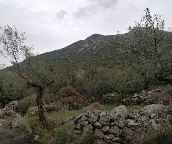 Image No.5-Terrain à vendre à Kardamyli