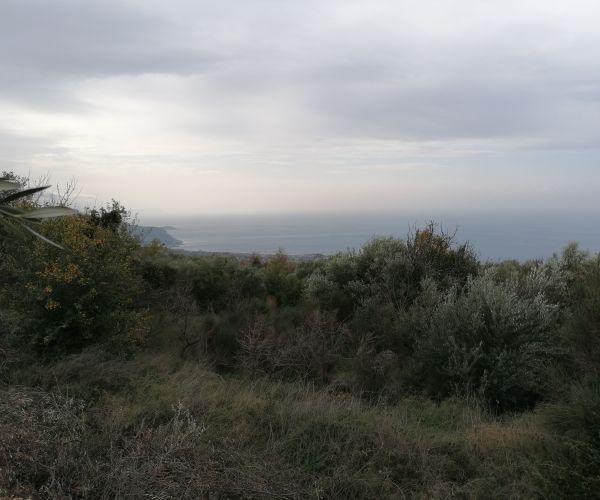 Image No.6-Terrain à vendre à Kardamyli