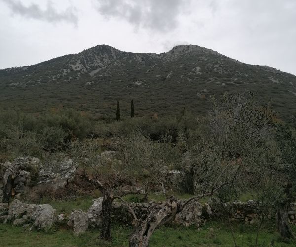 Image No.7-Terrain à vendre à Kardamyli