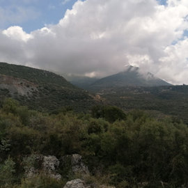 img202305291251082025-02-11-151211fhfg