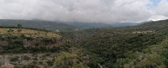 Image No.3-Plot for sale