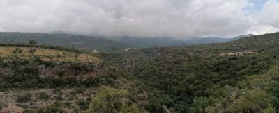 img202305291250392025-02-11-151141vgbh