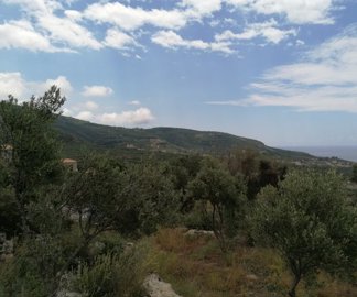 img202305291250592025-02-11-151205ywfs