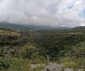 img202305291251162025-02-11-151224mlnu